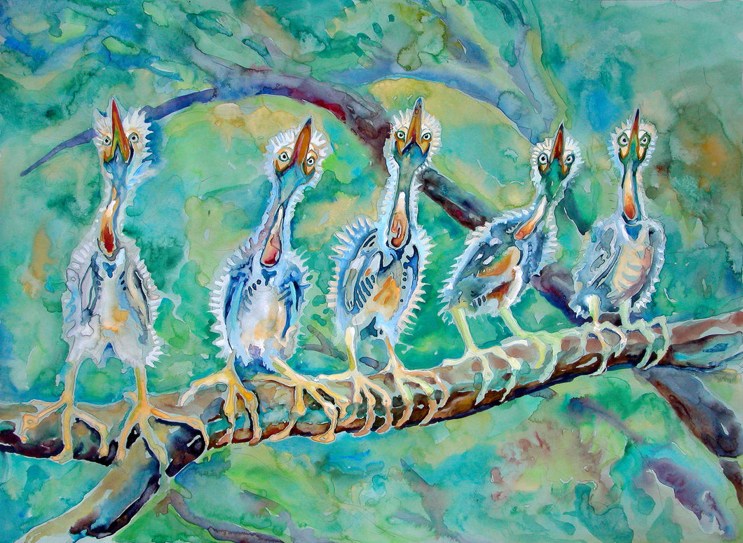 Baby Herons